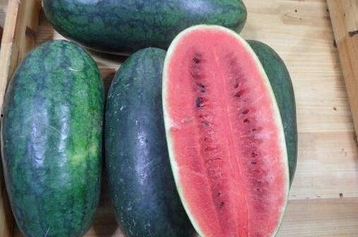 黑料吃瓜在线吃瓜朱馨宇