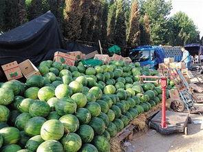 九一黑料吃瓜官方下载,带你走进神秘事件背后