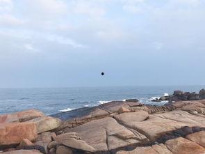 海角吃瓜黑料不打洋